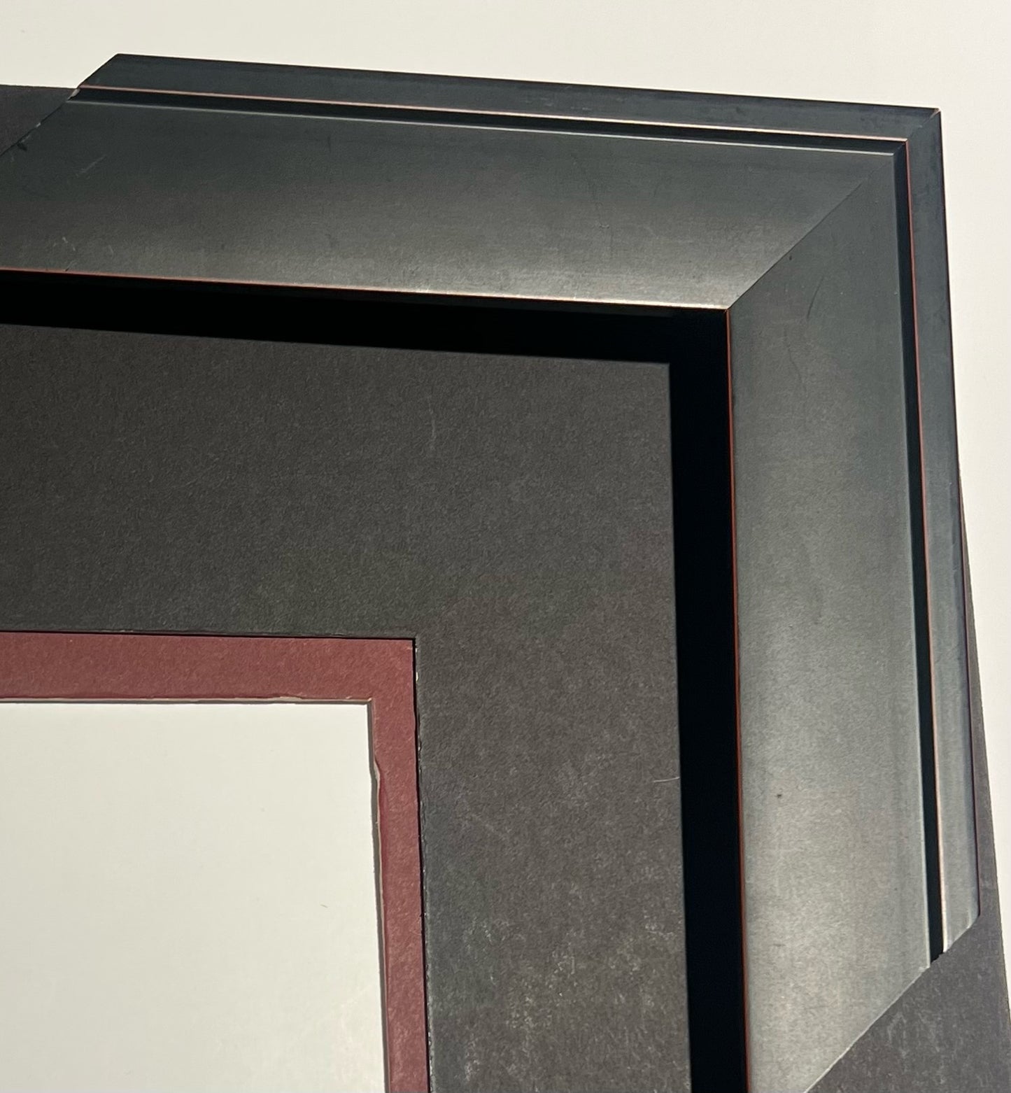 2024 NEW RELEASE!!!! CAROLINA SANDSTORM 2024